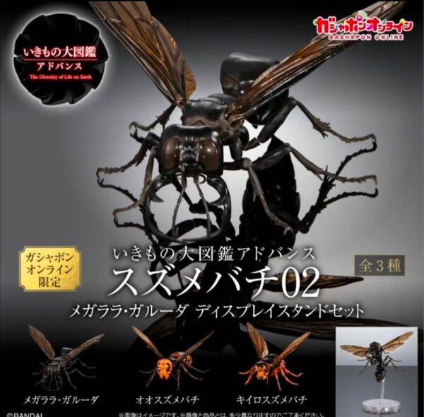 ガシャポンオンライン版 いきもの大図鑑 アドバンス スズメバチ 02 全3種 フルコンプ ガチャ