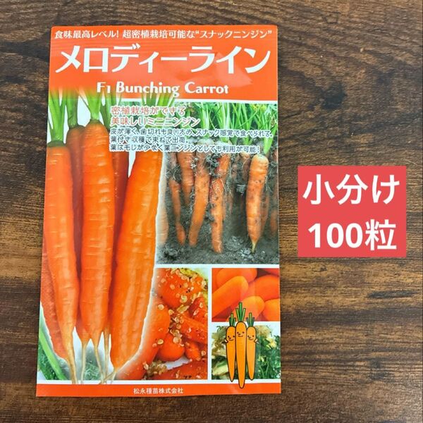 メロディーライン 100粒 野菜種 にんじんのタネ
