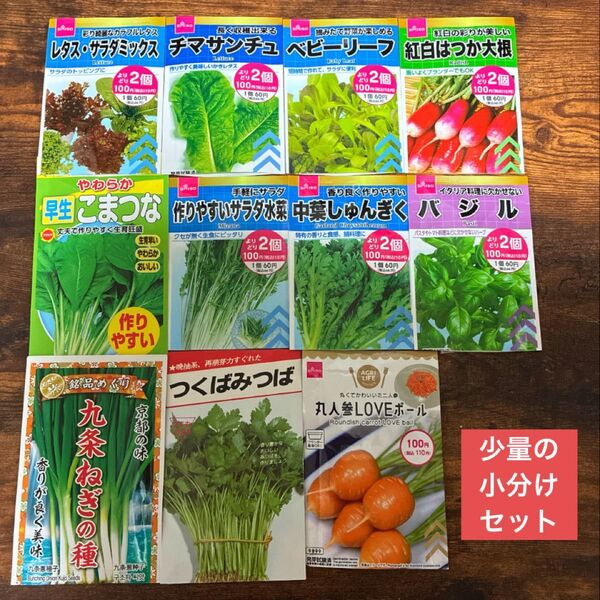 プランター栽培な野菜のタネ 11種類の少量セット 野菜の種 ☆