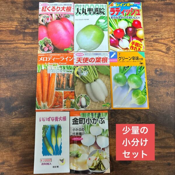 プランター栽培可能な 根菜のタネ 8種類の少量セット 野菜の種 ☆