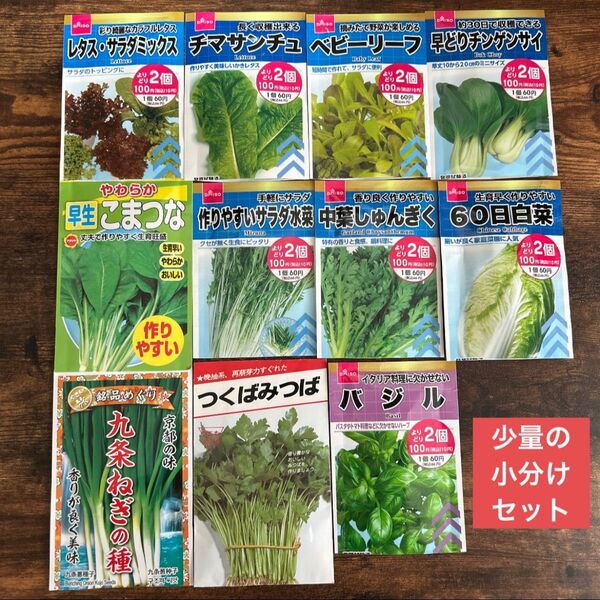 プランター栽培な野菜のタネ 11種類の少量セット 野菜の種 ☆