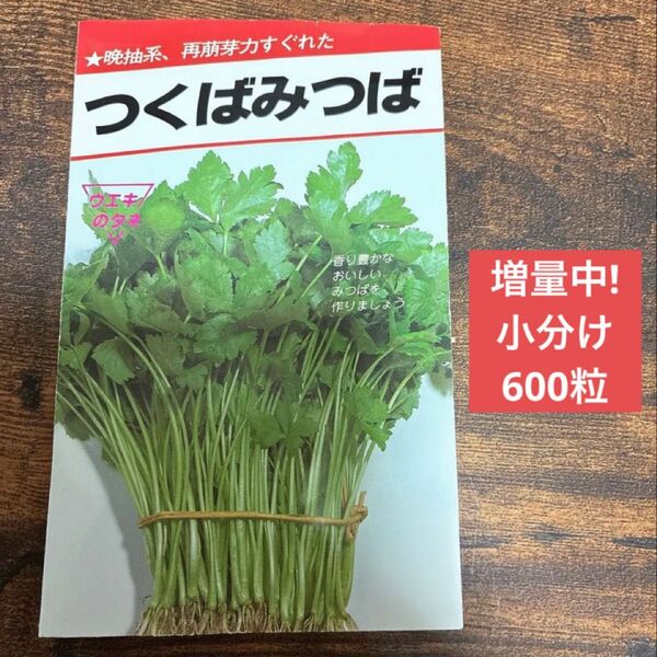今だけ300粒から600粒まで増量中! つくばみつば 600粒 水耕栽培可能