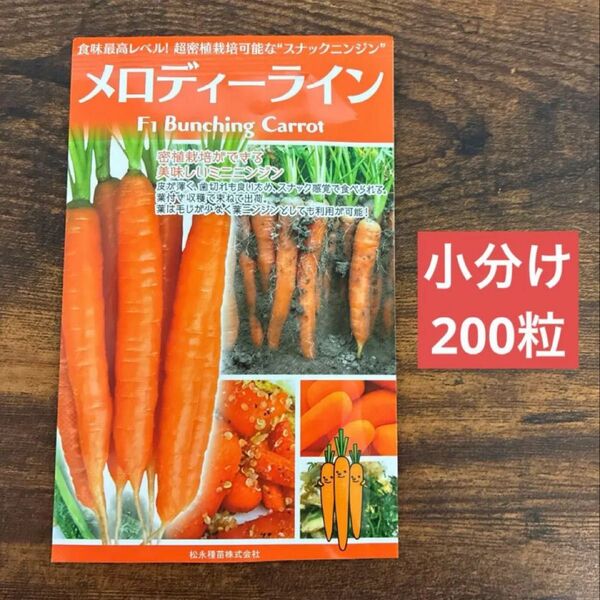 メロディーライン 200粒 野菜種 にんじんのタネ