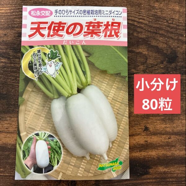 天使の葉根 80粒 野菜種 ミニ大根のタネ ※数量限定で今だけパッケージ付きです☆ プランター栽培可能