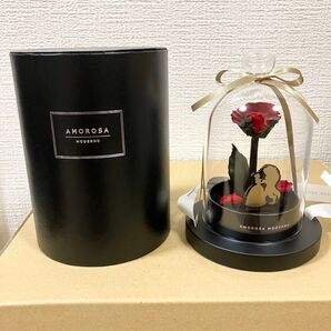 美女と野獣 AMOROSA MODERNO バラ ドーム型アレンジメント ローズ