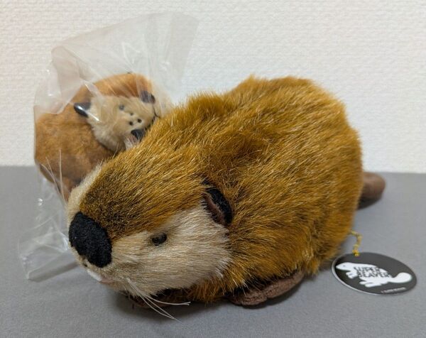 SUPER BEAVER公式グッズ スーパービーバーちゃん ぬいぐるみ & 吉徳 くっつきたいビーバー 2点セット