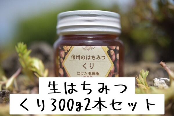 くり 生はちみつ 300g×2本 国産 蜂蜜 【生産者直送】