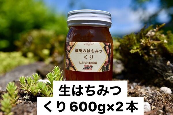 くり 生はちみつ 600g×2本 国産 蜂蜜 【生産者直送】