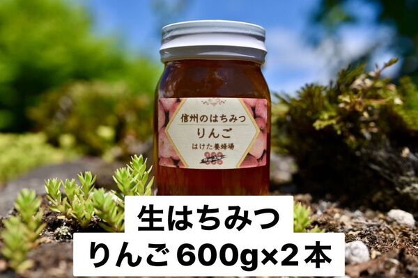 りんご 生はちみつ 600g×2本 国産 蜂蜜 【生産者直送】