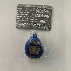たまごっち シャカシャカチャームコレクション新種発見!!たまごっち 紺(みみっち)