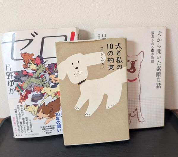 犬から聞いた素敵な話 涙あふれる⑭の物語 ゼロ! 犬と私の10の約束 3冊セット
