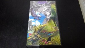 美品 VHS ASIA エイジア ASIA&UK 総尺25分