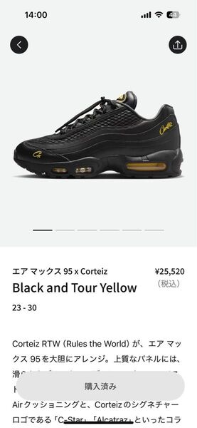 ナイキエアマックス 95 x コーテイズ 27cm