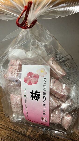 ありへいとう サクサク食感飴 1袋 梅