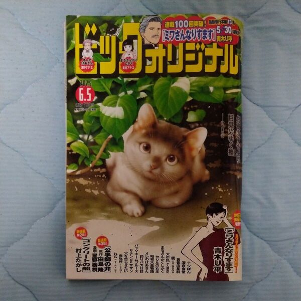 ビッグコミックオリジナル 2025年6月5日号 (小学館)