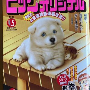 ビッグコミックオリジナル 2025年 4月5日号 7号