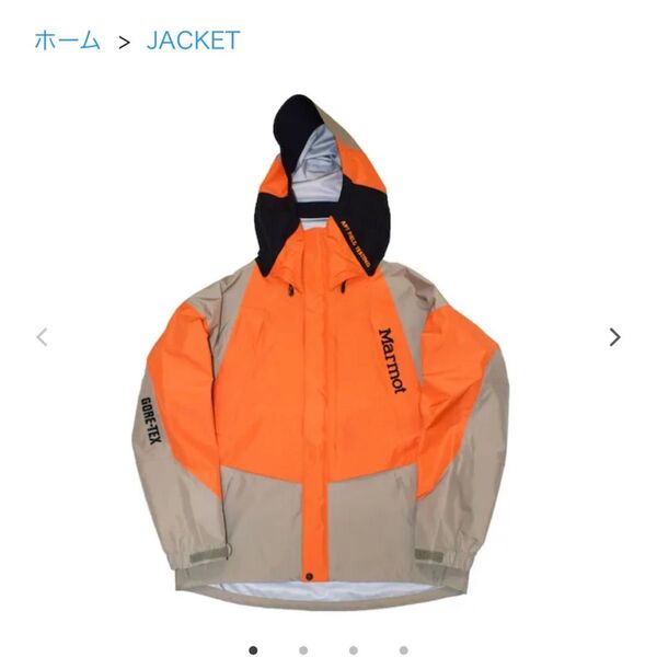 人気カラー!XL!Marmot STABRIDGE 3L Alpinist Jacket GORE-TEX apartment