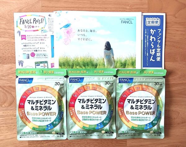 ファンケル マルチビタミン&ミネラル 90日分