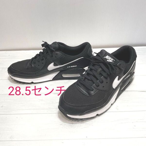 NIKE エアマックス 28.5センチ DH8010-002