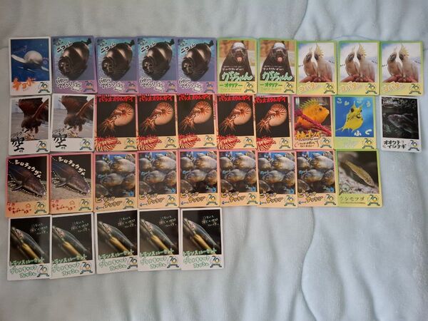 バラ売り可能 鳥羽水族館 TOBA AQUARIUM コレクションカード 34枚