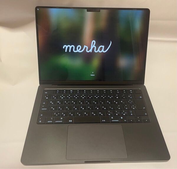 【中古美品】M4 MacBook Pro 24GB 1TB 14インチ 付属品完備!
