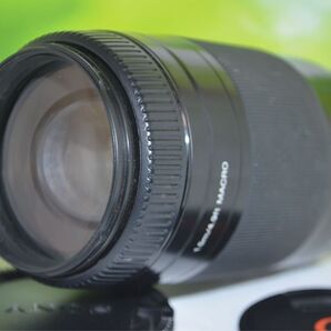 SONY純正 75-300mm 望遠レンズ 美品 F4.5-5.6 ソニー