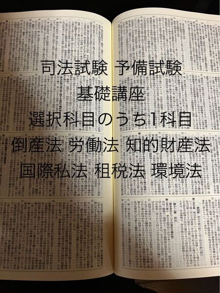 司法試験 予備試験 インプット講義 選択法のうち1科目 倒産法 労働法 知的財産法 経済法 租税法 国際私法 環境法