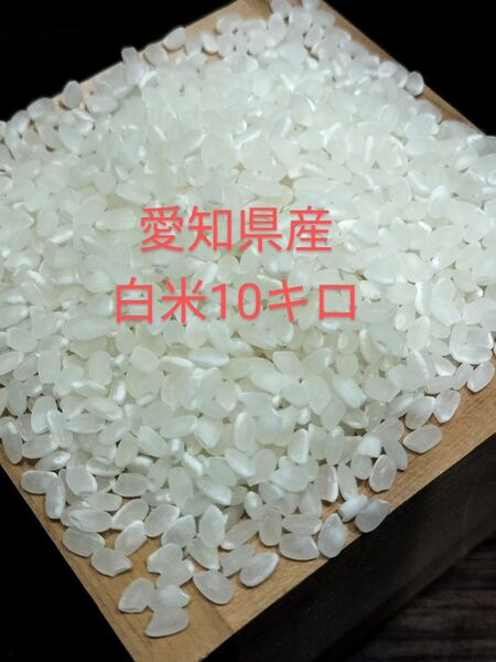 令和6年度産 白米 10キロ
