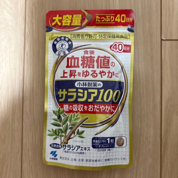 小林製薬 サラシア100 40日分 120粒 送料無料