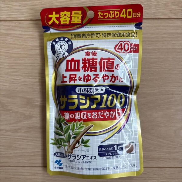 小林製薬 サラシア100 40日分 120粒 送料無料