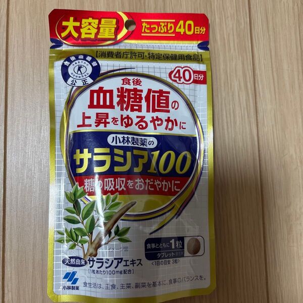 小林製薬 サラシア100 40日分 120粒 送料無料