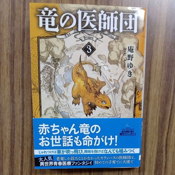 竜の医師団 3 (創元推理文庫 Fあ1-6) 庵野ゆき/著