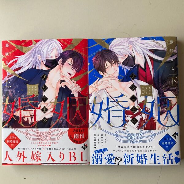 チシュ王の婚姻~花嫁に交わる王の糸~上下