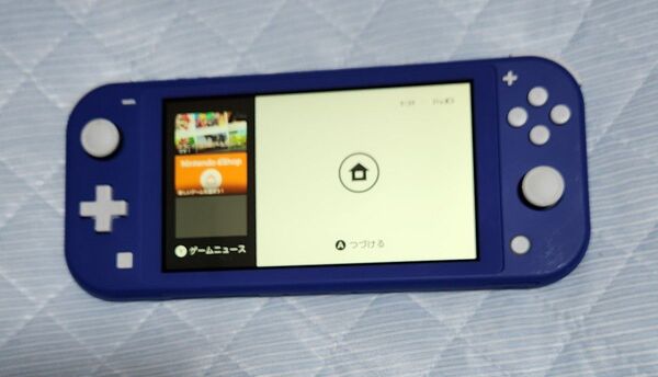 【本体&充電器&ゲームソフト付】Nintendo Switch Lite Lite スイッチライト ニンテンドー