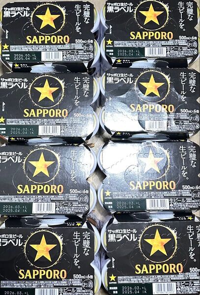 サッポロ黒ラベル 500ml缶24本 2ケース分