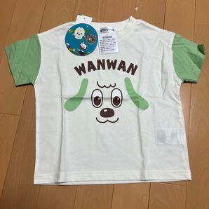 未使用タグ付き いないいないばあっ! ワンワン Tシャツ 100cm 新品 未使用