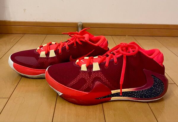 NIKE、ズームフリーク1、26センチ