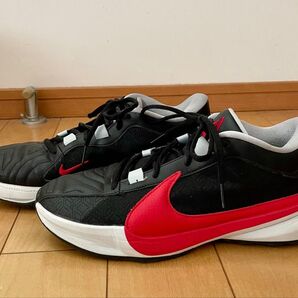 NIKE、ズームフリーク5、27センチ