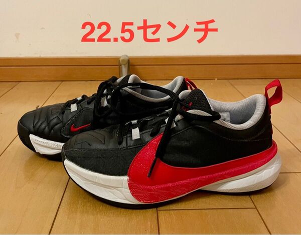 NIKE、ズームフリーク5 GS、22.5センチ