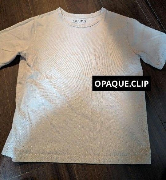 オペークドットクリップ Tシャツ カットソー 半袖 無地 ベージュ レディース
