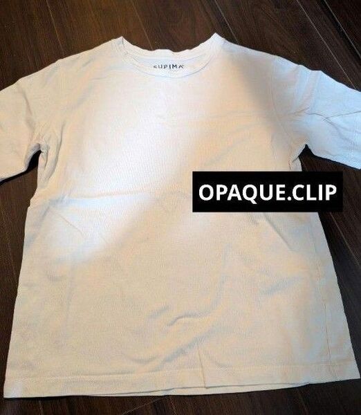 Tシャツ カットソー 半袖Tシャツ ホワイト レディース オペークドットクリップ
