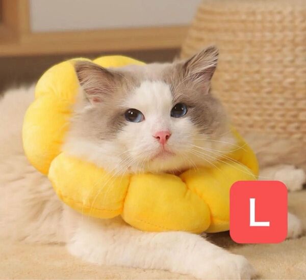 エリザベスカラー手術 L 猫用 犬用術後ケア 爪切り傷舐め イエロー