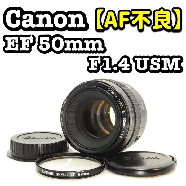Canon EF 50mm F1.4 USM 単焦点レンズ キヤノン デジカメ デジタル一眼レフカメラ デジタルカメラ レンズ