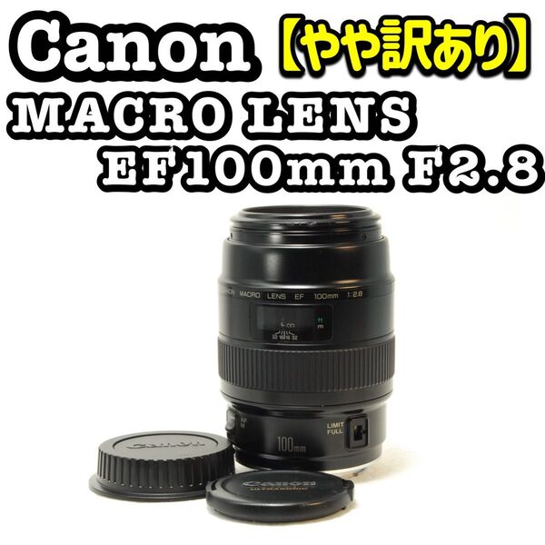 Canon EF 100mm f2.8 単焦点レンズ キヤノン 一眼レフカメラ フルサイズ対応 デジタルカメラ デジタル一眼レフ