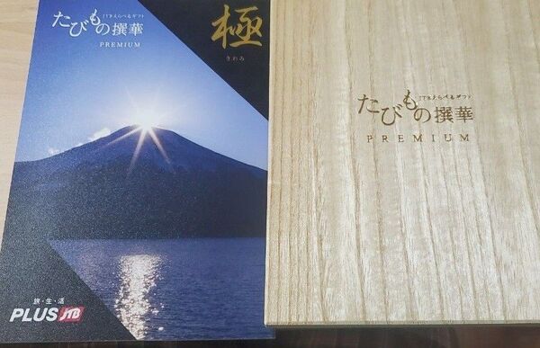 たびもの撰華 極 宿泊券