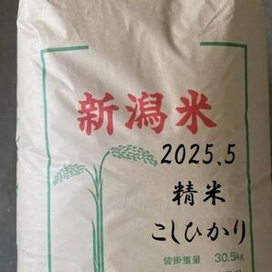 新潟 魚沼産 コシヒカリ 2025年 4月 精米 お米 コメ こめ こしひかり 30キロ