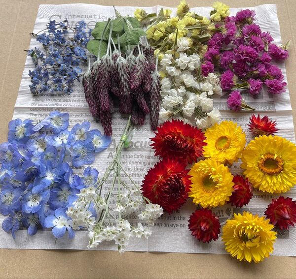 ドライフラワー ネモフィラスターチス ワスレナグサ ヘリクリサム ストロベリーキャンドル 花材 ハンドメイド ハーバリウム レジン
