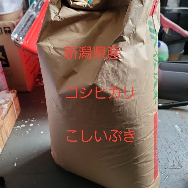 新潟県産 こしいぶき コシヒカリ 食べ比べセット
