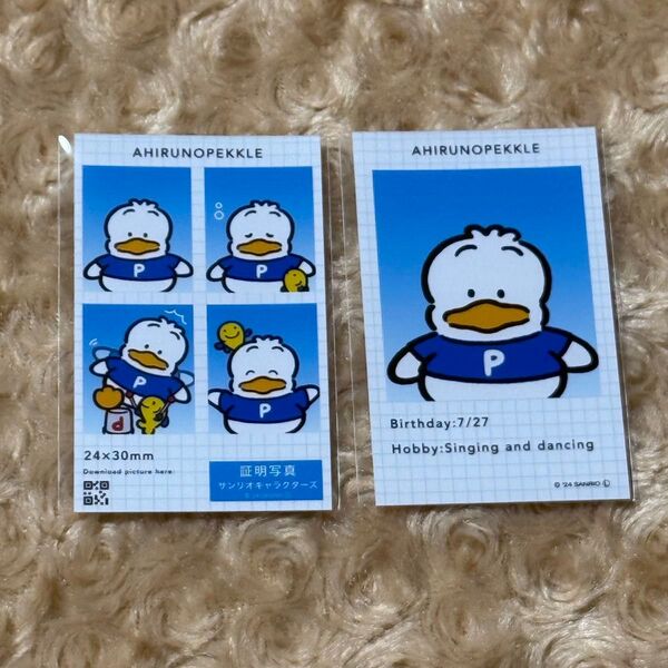 あひるのペックル 証明写真 サンリオ