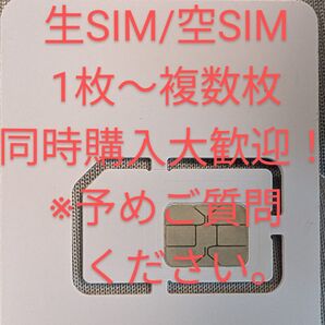 【iPhoneアクティベート用等に】空SIM/生SIM/ブランクSIM1枚※複数ご希望の場合は、必ず予めご質問ください。【予備等】